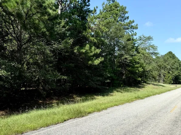 0 Best Bridge Rd, Sylvania, GA 30467