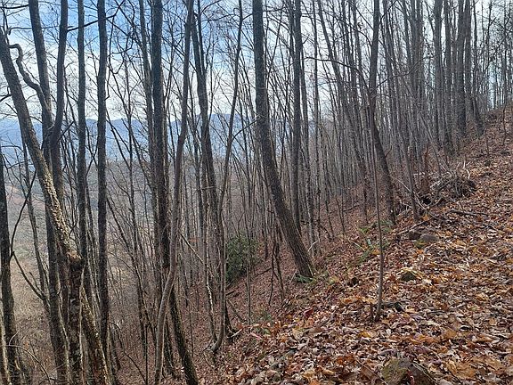 4th image of 0 Lands Creek Rd