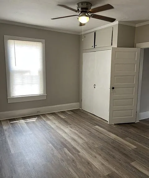 183 Ryan St — Photo 4