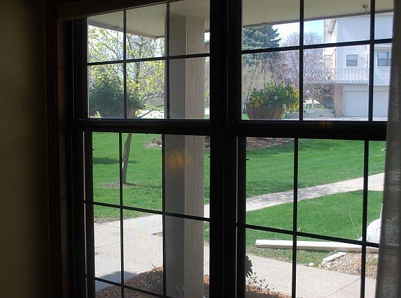 View out front window