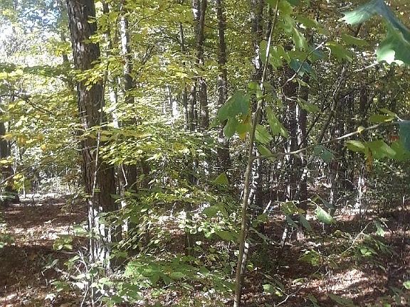 4th image of LOT 12 Crayke Ln