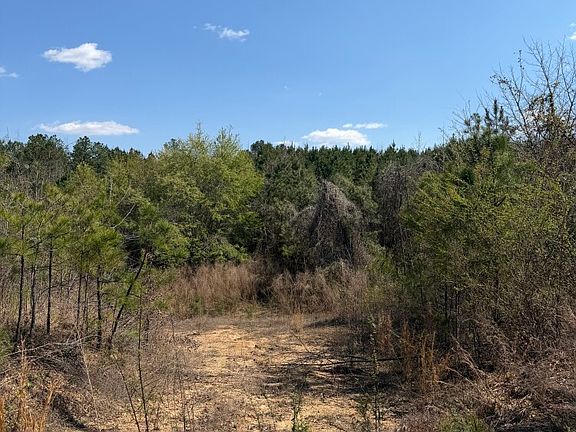 4th image of 0 Highway 129