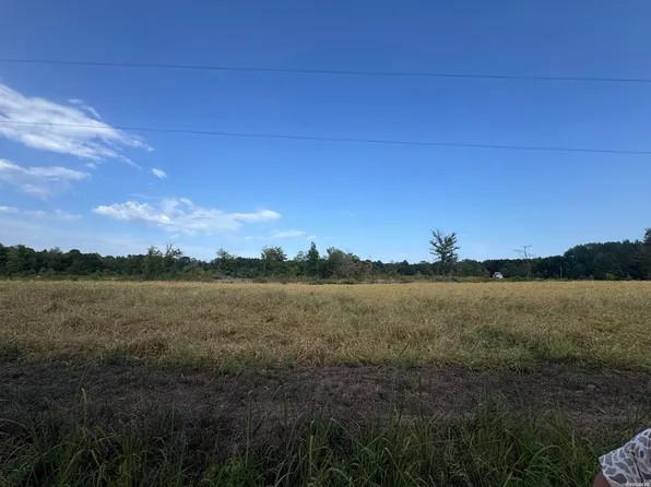0 Grant 36, Prattsville, AR 72129