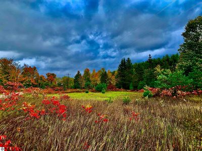 0 King Rd, Benzonia, MI, 49616