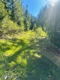 2nd image of 0 Balsam Ln