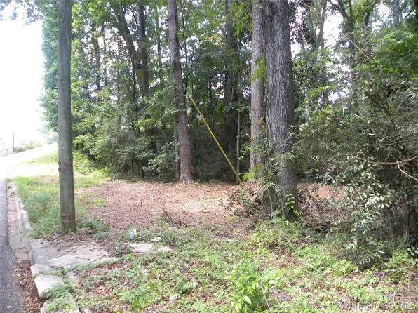0 Cedar Ct, Ozark, AL 36360