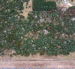2nd image of LOT 2 Kable Ave