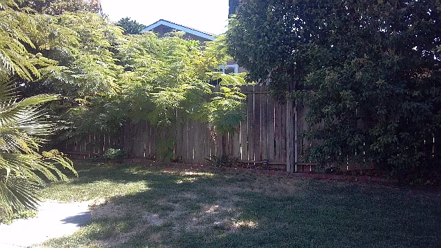 223 Williams St photo 1