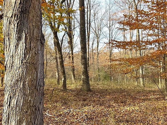 2nd image of 0 Chenoweth Fork Rd