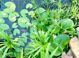 264 County Road 401, Trinity, AL 35673