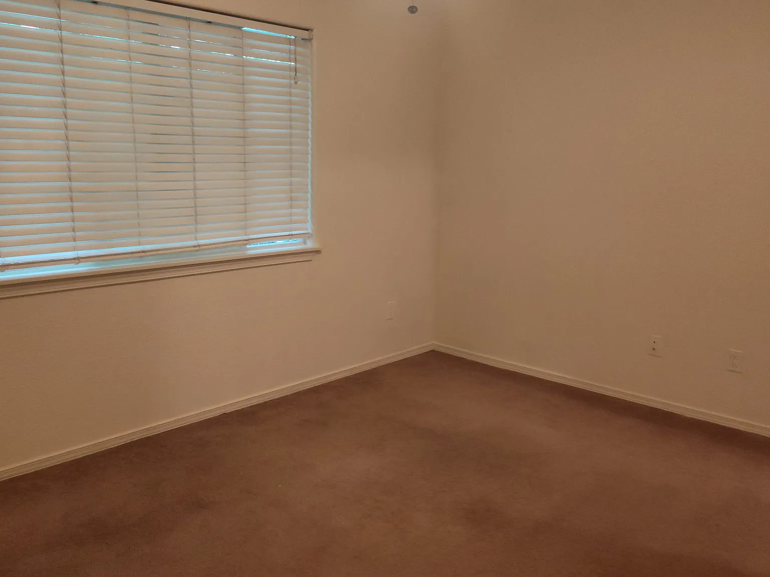 1 bed, 800 sqft, $1,100 — Photo 4