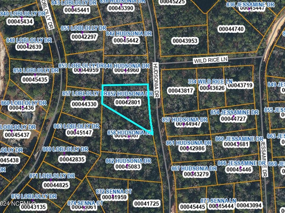 2nd image of 852 Hudsonia Drive