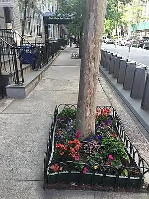 Rented by PennApts | media 28