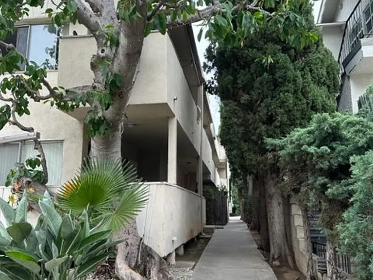 G11707 — Photo 1