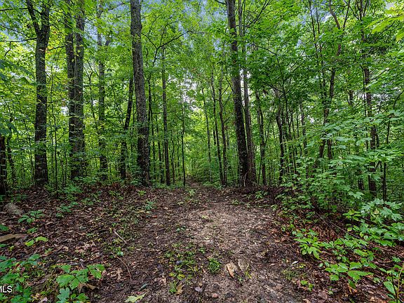 83rd image of this home