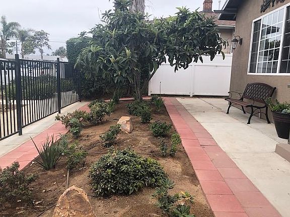 Professionally maintained landscape