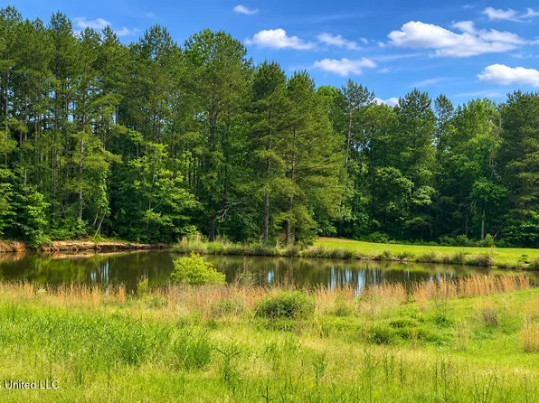 Niki Ln, Pelahatchie, MS 39145