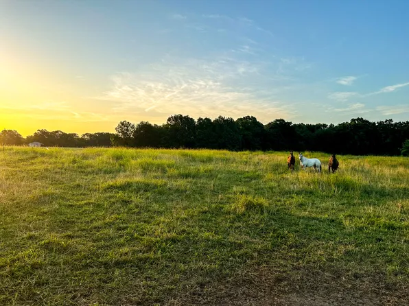 Lightning Bug Ln, Goodman, MO 64843
