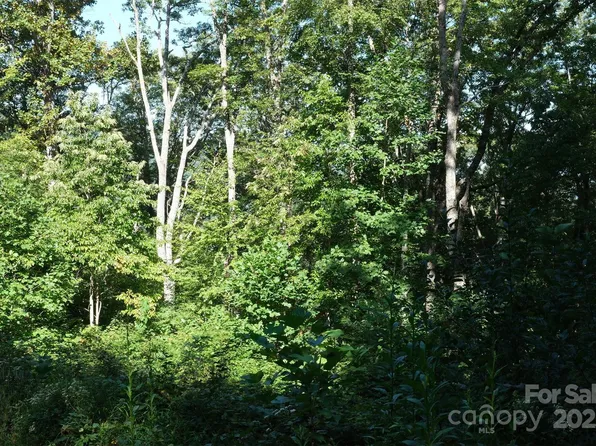 LOT 12 Caperton Point Rd, Swannanoa, NC 28778