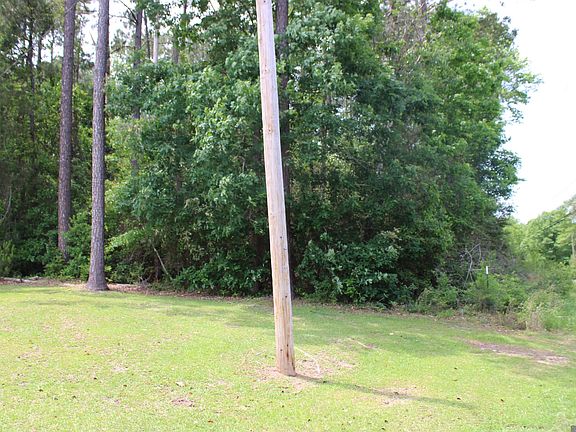 2nd image of Pinewood Rd