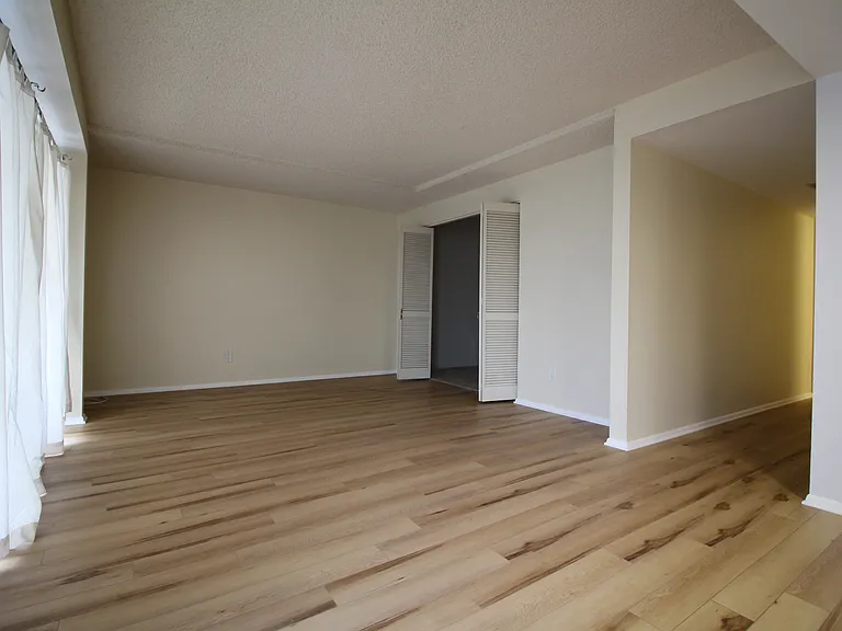 Living Room next to bedroom/den