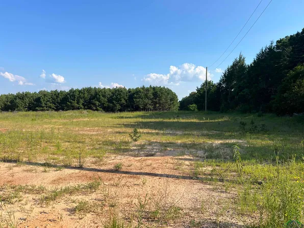 LOT 11 Jacklyn Ln, Diana, TX 75640