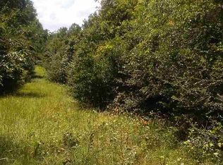 160 County Rd, Long Branch, TX 75669