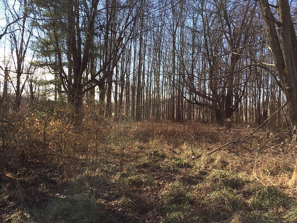 2nd image of 23 Hitchcock Ln