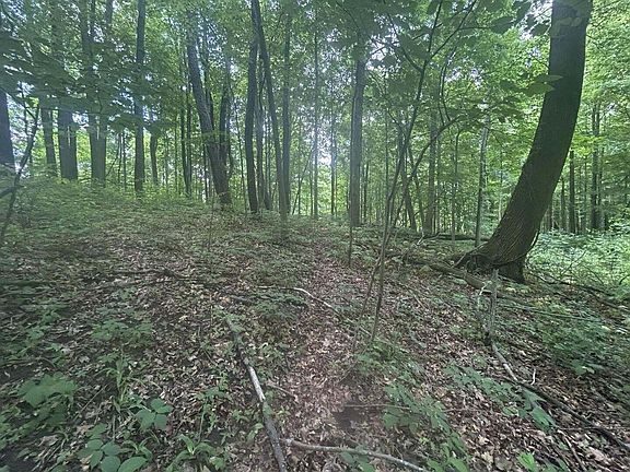 4th image of 1750 Pierce Rd