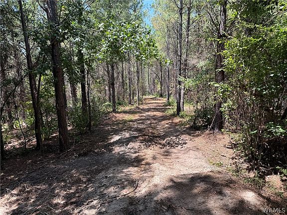 4th image of 0 County Road 100