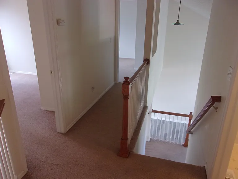 6668 Gooseberry Dr — Photo 10