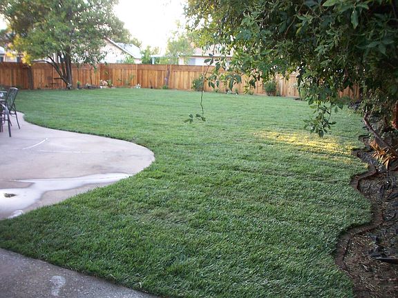 Spacious backyard with new redwood fencing