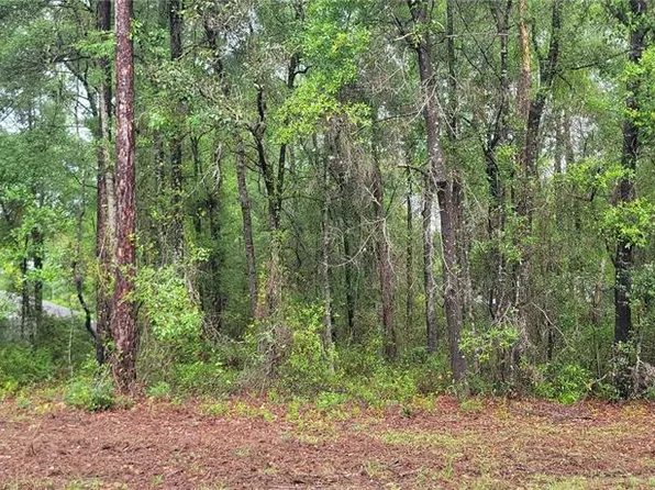 9781 N Loretta Way Lot 4, Dunnellon, FL 34434