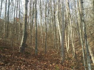 Lots 5 And 6 Red Maple Ln, Sevierville, TN 37876