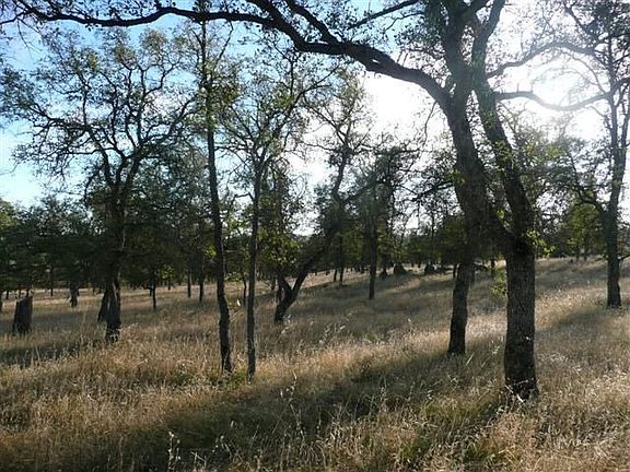 Trees and gentle rolling hills