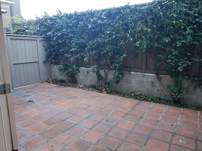 Back terrace