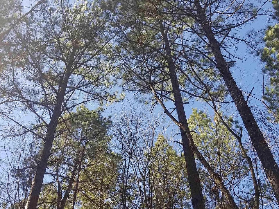 1st image of Woodland Springs Dr