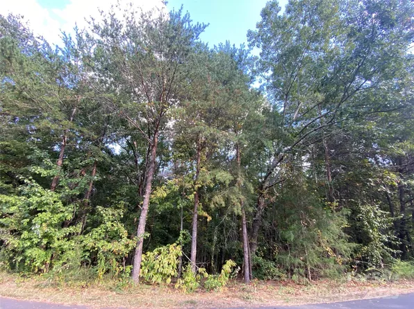 1301 Shadowfax Wynd #51, Hickory, NC 28602