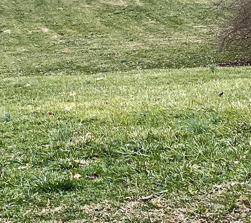 156 Old Bridge Rd, Danville, KY 40422 MLS 24007727 Zillow