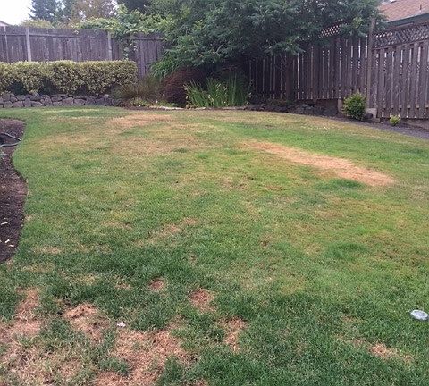 Large fenced yard with pond