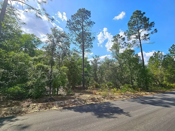 LOT 3 Turkey Oak Rd, Blackshear, GA 31516