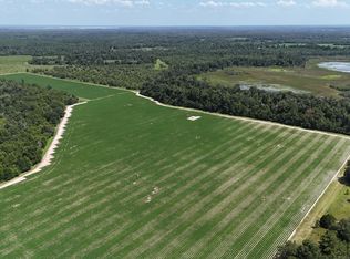 0 Long Pond Rd, Grand Ridge, FL 32442