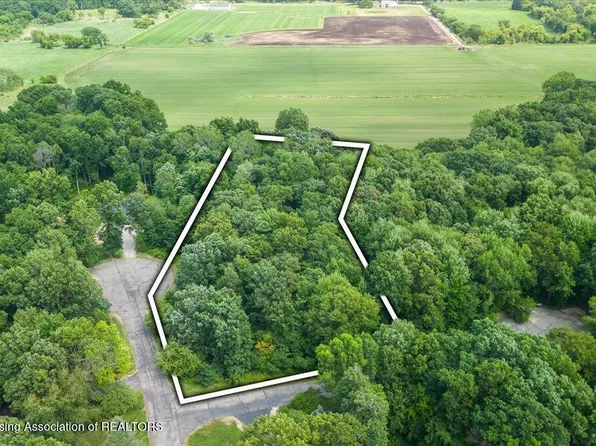 5675 Iosco Mountain Rd, Gregory, MI 48137