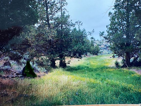 2nd image of 501-450 Highway 395 Hwy