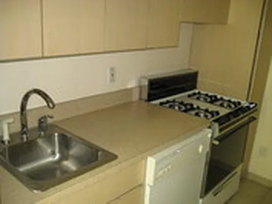 Rented by Luxus Manhattan Realty | media 25