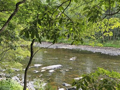 LOT 57 Blossom Rd, Lackawaxen, PA, 18435