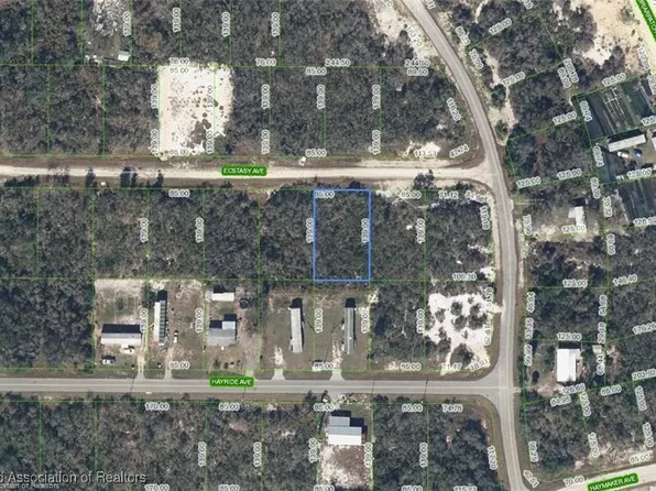445 Ecstasy Ave, Lake Placid, FL 33852