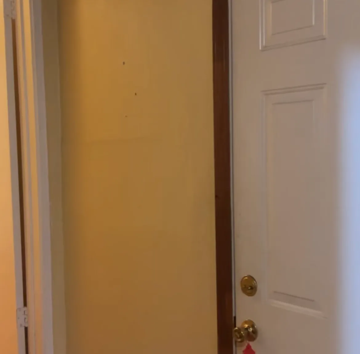 1 bed, $850 — Photo 4