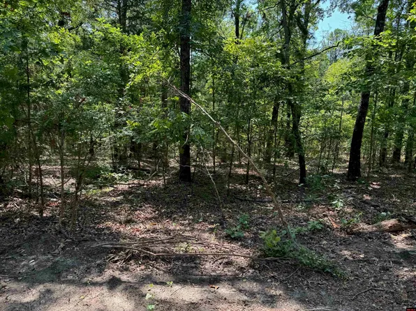 Bonner Ln, Mountain Home, AR 72653
