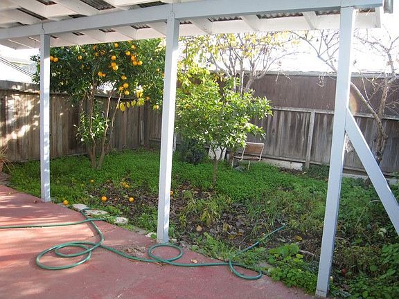 Backyard with fruit trees